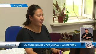 Животный мир - под онлайн контролем Животный мир - под онлайн контролем
