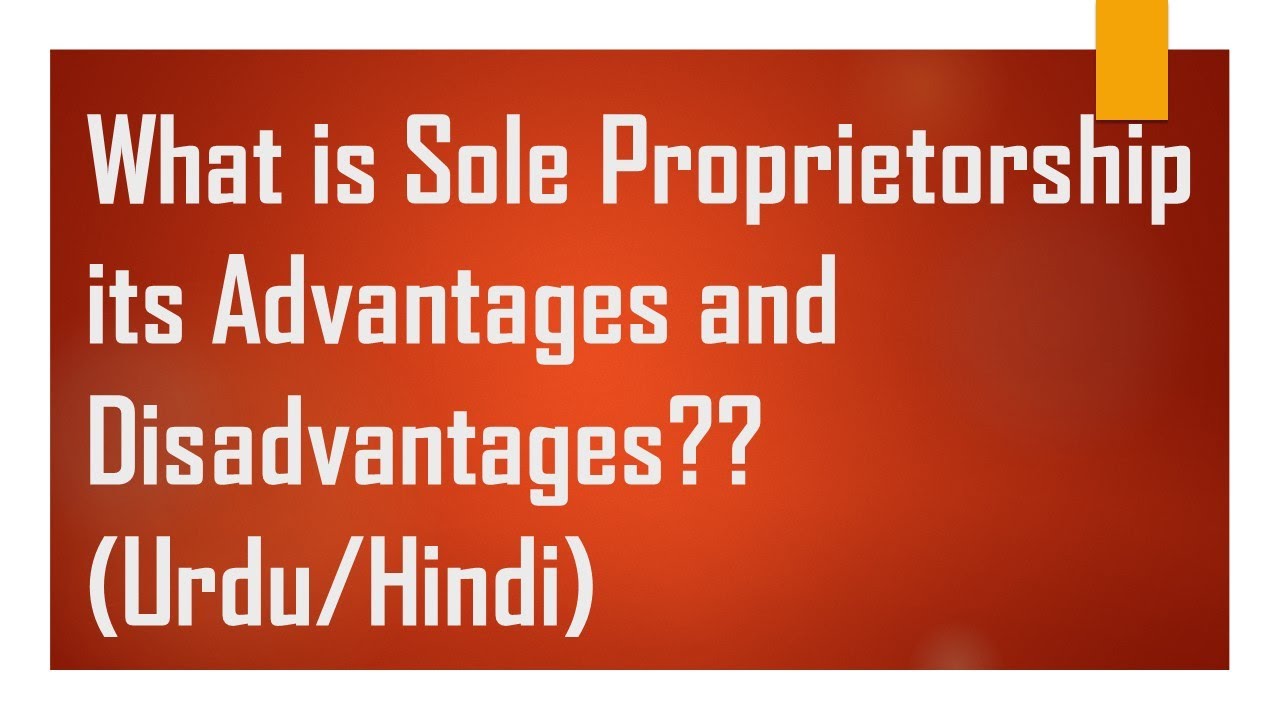 What is Sole Proprietorship? Advantage and Disadvantage of Sole