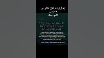 ماتيسر من سورة هود القارئ محمد الفقيه  @ahmadamer25214