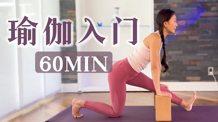 60分钟瑜伽入门-初学者的瑜伽 | 适合每一位瑜伽练习者| 呼吸 体式 冥想 完整跟练 60MIN Yoga for Beginners | All Levels Yoga - 天天要闻