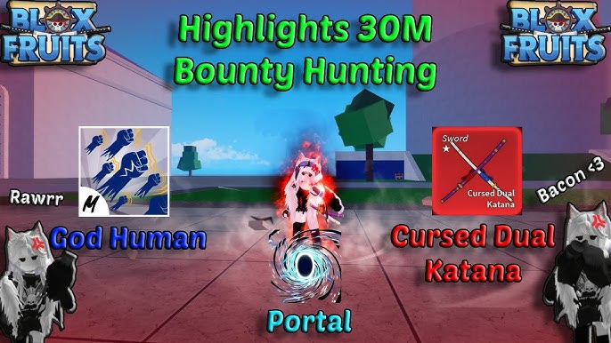 Portal The Best Fruit for PVP (Blox Fruits Bounty Hunting) Road to