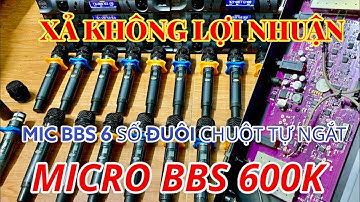 Mic Bãi Đức Xả Không Lợi Nhuận - Mic BBS e198gs Vỉ Tím Đuôi Chuột Đời Cao Tự Ngắt Chất Mà Rẻ