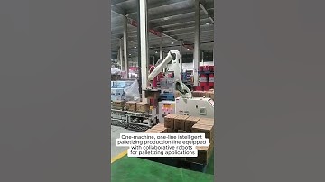 Intelligent palletizing,equipped with collaborative robots for palletizing applications#automation