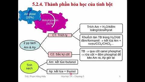 Quá trình hồ hóa và thoái biến của tinh bột năm 2024