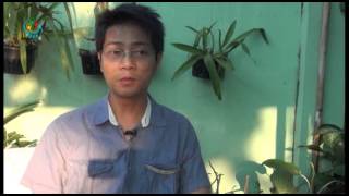 DVB - Voxpop 20151402
