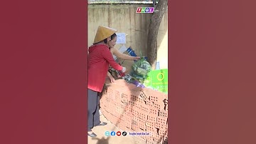 “Phụ nữ nói không với rác thải nhựa”, “Nói không với túi ni lông”