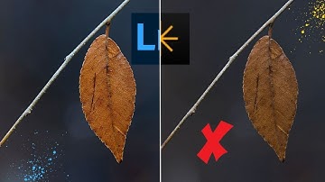 Adobe Lightroom VS Luminar Neo | Masking and Noise Reduction