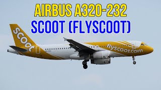 Attractive Aircraft Landing And Takeoff | Airbus A320-232 Scoot (FlyScoot) | Amazing Plane Spotting