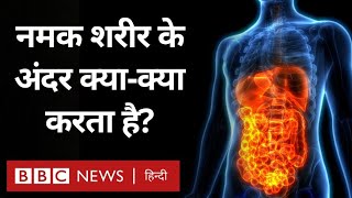 Salt and Human Body: नमक हमारे शरीर में क्या-क्या काम करता है? (BBC Hindi)