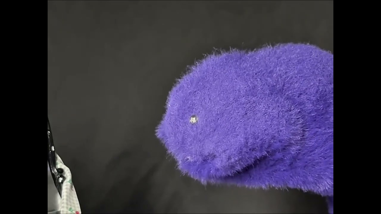 [Best Work 25-2] Creativity & Visual Expression - CHAN HOI CHING 외 5인