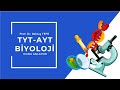 14. HÜCRE-3-HÜCRENİN ORGANELLERİ-TYT AYT BİYOLOJİ-BEKTAŞ TEPE #tyt #ayt #biyoloji #bidünyabiyoloji