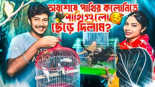 Download Lagu অবশেষে পাখির কলোনিতে পাখিগুলো ছেড়ে দিলাম 🥰 MP3