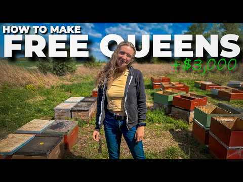 This Simple Split Method Saved Us Thousands! #beekeeping