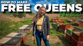 This Simple Split Method Saved Us Thousands! #beekeeping