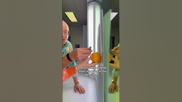 how can you see a object behind a paper in mirror? #trending  #science