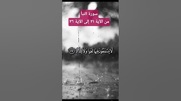 #سورة_النبأ من الآية 31 إلى 36 #راحه_وطمأنينه_للقلب #عبدالرحمن_مسعد #قرآن_كريم #نور_على_نور #quran