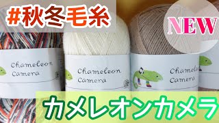 [毛糸のピエロ☆新色カメレオンカメラ] 購入品紹介