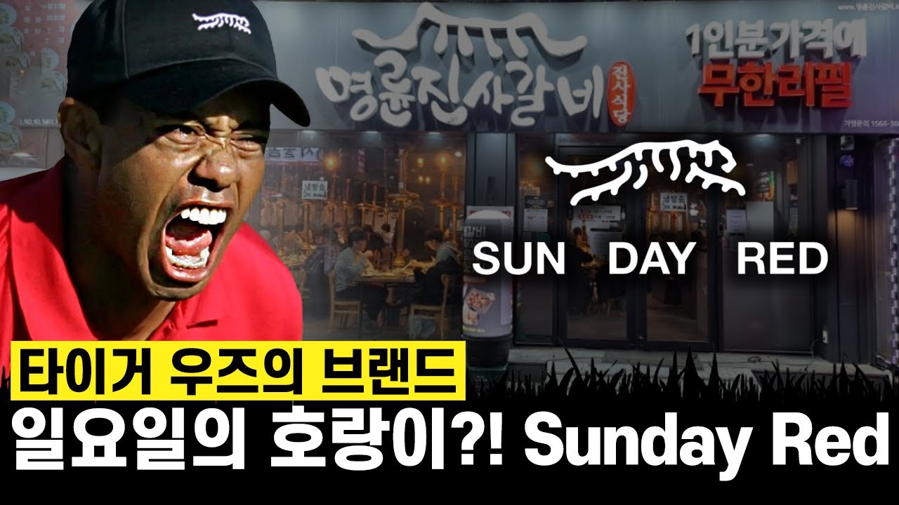 명륜진사갈비를 닮은 일요일의 호랑이!? SUN DAY RED, 타이거우즈의 브랜드 - YouTube