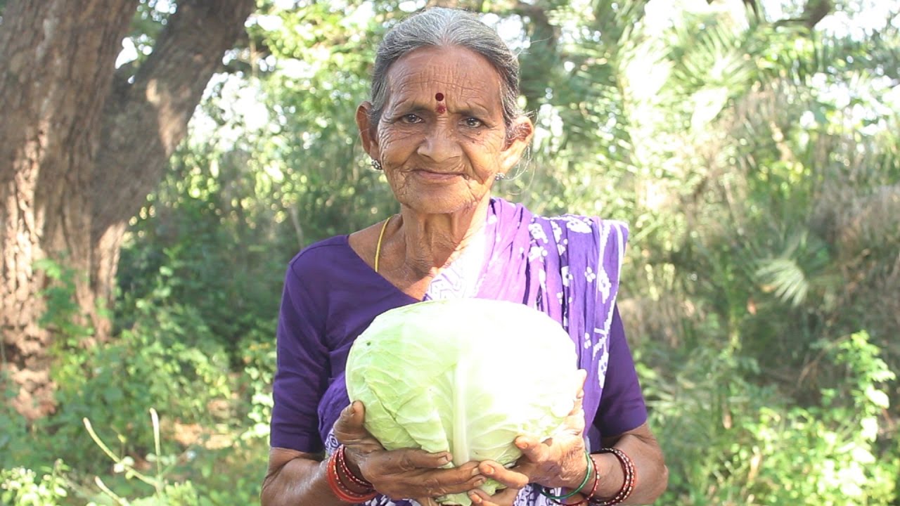 How To Cook Cabbage Recipes Village Style By My Grandma || Myna Street Food