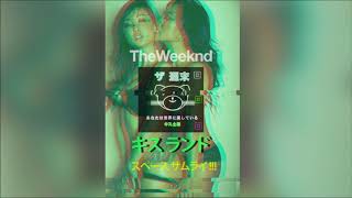 Video thumbnail of "The Weeknd  - Kiss Land (Instrumental)"