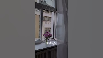 القارئ: سالم الرويلي