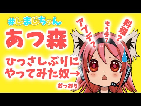 【あつ森】アプデってなになになに！？【しまじちゃん】