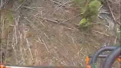 Skycrane Helicopter Logging