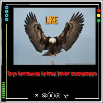 Story music manuk dadali lirik lagu berjalan sendiri
