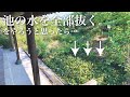 【古民家暮らし】50年間放置されていた池の水ぜんぶ抜く。をやろうと思ったら｜田舎暮らし