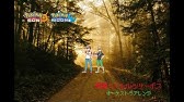 ポケモンオーケストラ Youtube