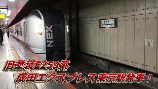 【東京駅】旧塗装E259系発車シーン！