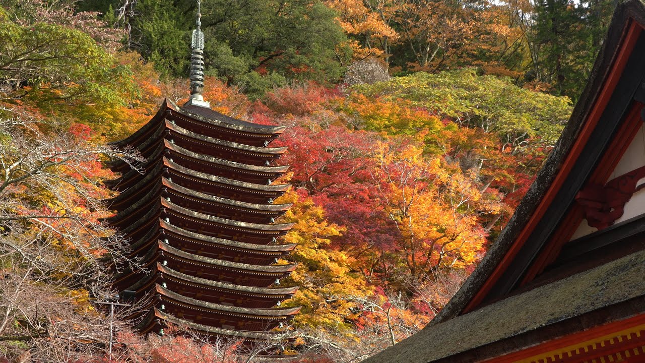 談山神社の秋