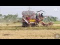 Ep.47 รถเกี่ยวข้าว | ยุคบุกเบิก #อู่พงษ์เจริญการช่าง  ช่วงล่าง D4 18ปี Combine harvester