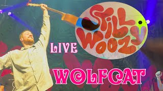 wolfcat still woozy live