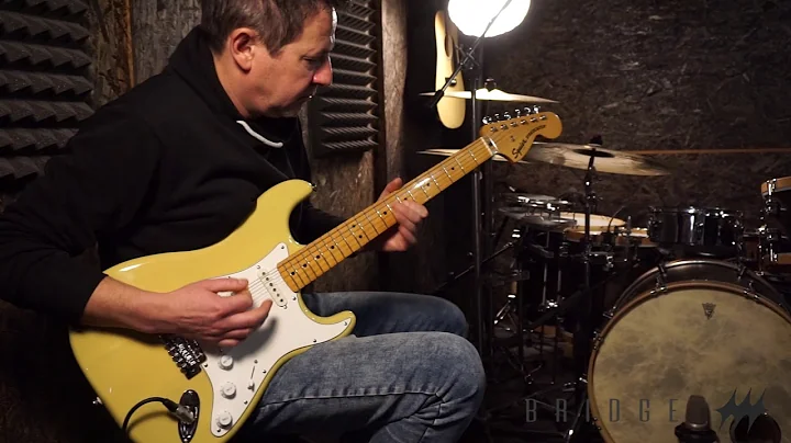 Martin Macek Strat Hot 60s, AlNiCo 2(B) , AlniCo 5...