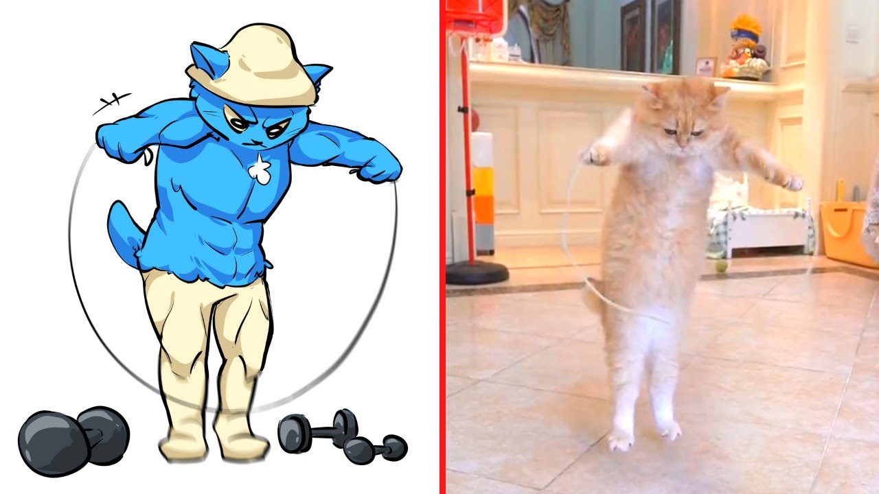 ⁣😂Cat Memes: We Live, We Love, We Lie - Smurf Cat 😹 Trending Funny Animals 2023 😊