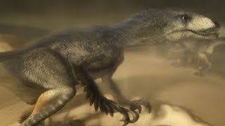 Last Day Of The Dinosaurs 2010 - Saurornithoides Screen Time