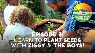 Camp Wha'Gwaan, Episode 3: Plant Seeds with Ziggy Marley & the Boys!