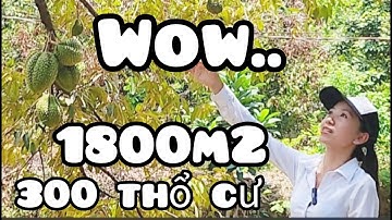 Đất sào view hồ có cây ăn trái gần sân bay long thành 14km