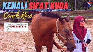 Kenali Sifat Kuda Sebelum Memanah Berkuda | Awesome Archery