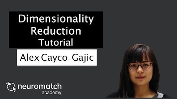 Dimensionality Reduction Tutorial 4 Video 2