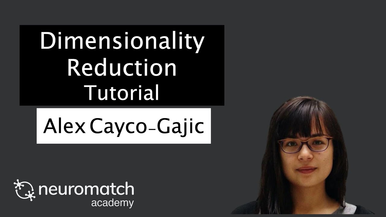 Dimensionality Reduction Tutorial 4 Video 2 - YouTube