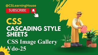 How to create Image Gallery using HTML and CSS  in Urdu / Hindi | CSlearninghouse