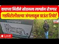 Gadchiroli Forest Report LIVE | Tendupatta Season | Employment | Aadivasi Gadchiroli Forest