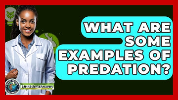What Are Some Examples Of Predation? - Earth Science Answers