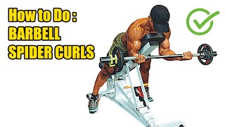 HOW TO DO BARBELL SPIDER CURLS - 272 CALORIES PER HOUR - (Back Workout).
