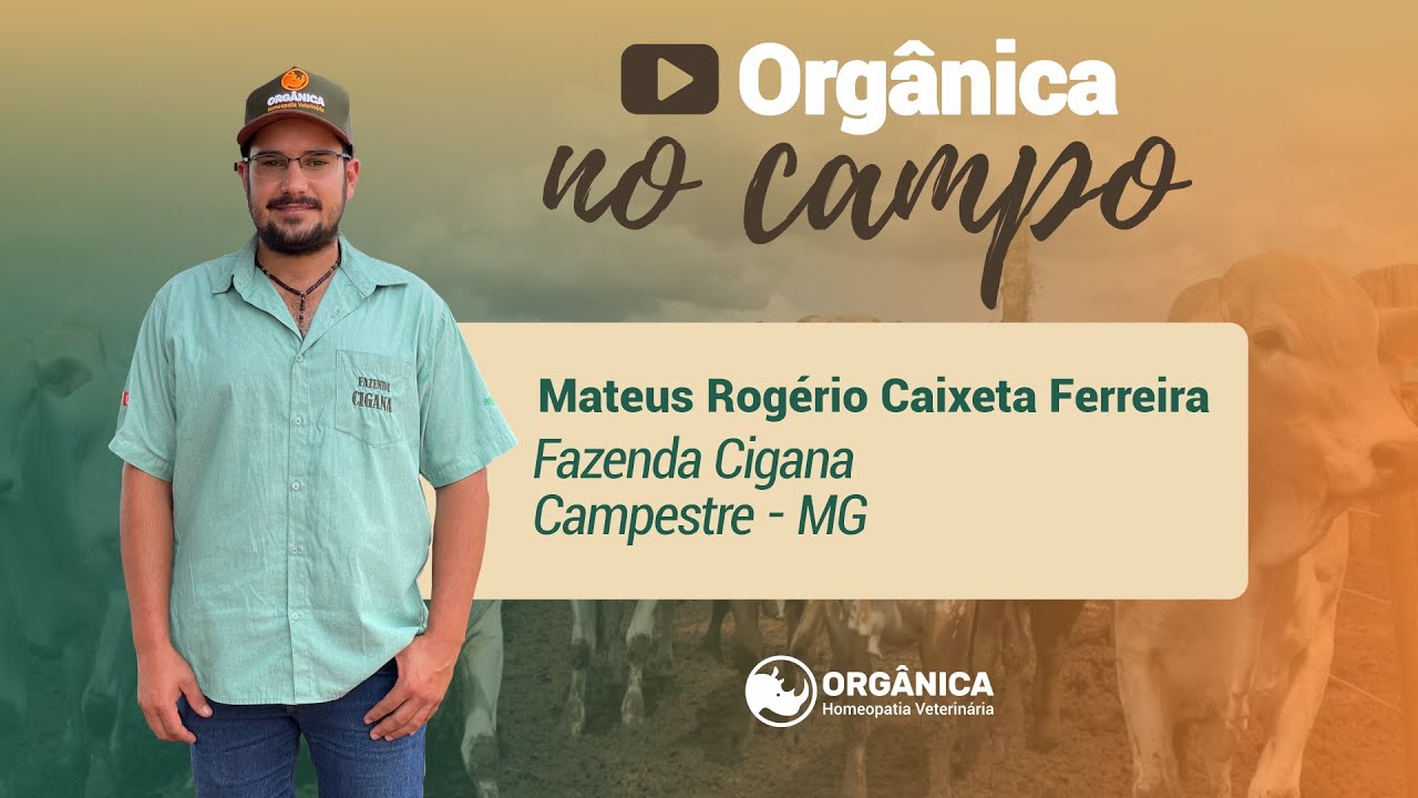 Depoimento da Fazenda Cigana, Campestre MG