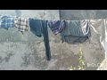 My Best Review In Washing Clothes 