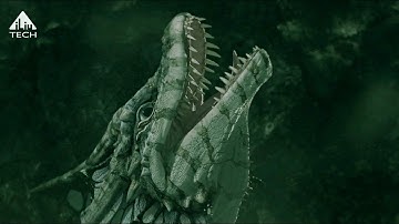 Dragon Intro Templates Without Text Free Download #112