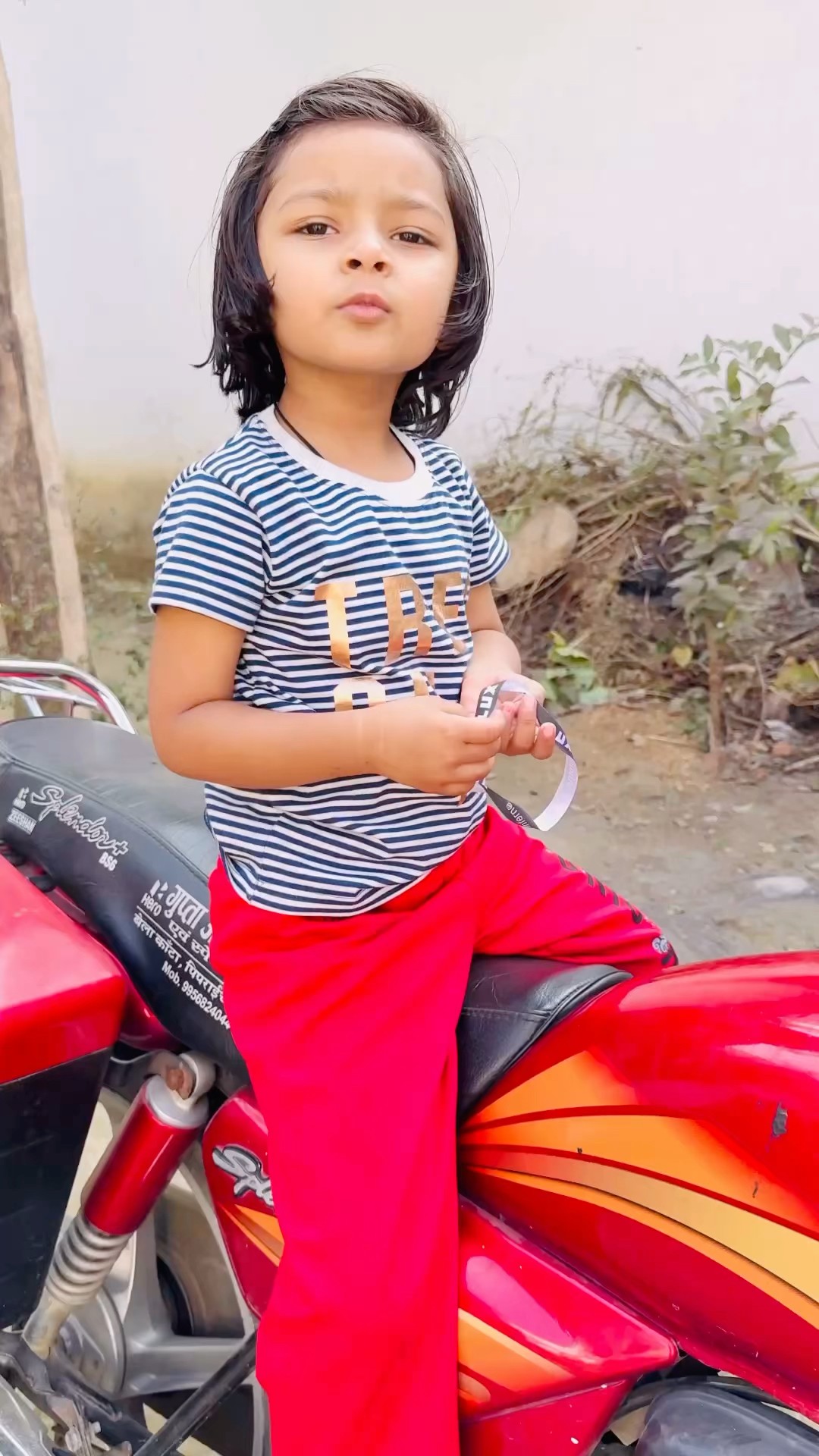 Tooktook aur mummy nani ke ghar kya kya dekhe?
